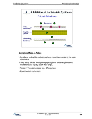 Customer Education Antibiotic Classification
90
© bioMérieux, Inc., Customer Education
March 2008
Outer
Membrane
Peptido -
glycan
Cytoplasmic
Membrane
Quinolones
5. Inhibitors of Nucleic Acid Synthesis5. Inhibitors of Nucleic Acid Synthesis
Entry of Quinolones
Quinolone Mode of Action
• Small and hydrophilic, quinolones have no problem crossing the outer
membrane.
• They easily diffuse through the peptidoglycan and the cytoplasmic
membrane and rapidly reach their target.
• Target = Topoisomerases, e.g., DNA-gyrase
• Rapid bactericidal activity
 