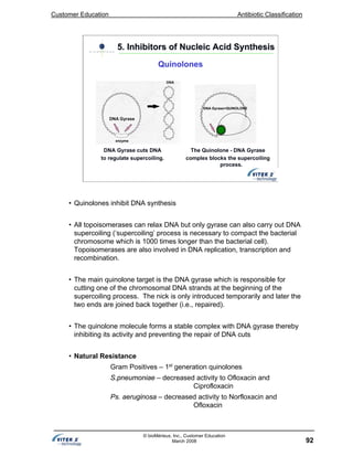 Customer Education Antibiotic Classification
92
© bioMérieux, Inc., Customer Education
March 2008
DNA Gyrase
DNA Gyrase+QUINOLONE
DNA Gyrase cuts DNA
to regulate supercoiling.
The Quinolone - DNA Gyrase
complex blocks the supercoiling
process.
enzyme
DNA
5. Inhibitors of Nucleic Acid Synthesis5. Inhibitors of Nucleic Acid Synthesis
Quinolones
• Quinolones inhibit DNA synthesis
• All topoisomerases can relax DNA but only gyrase can also carry out DNA
supercoiling (‘supercoiling’ process is necessary to compact the bacterial
chromosome which is 1000 times longer than the bacterial cell).
Topoisomerases are also involved in DNA replication, transcription and
recombination.
• The main quinolone target is the DNA gyrase which is responsible for
cutting one of the chromosomal DNA strands at the beginning of the
supercoiling process. The nick is only introduced temporarily and later the
two ends are joined back together (i.e., repaired).
• The quinolone molecule forms a stable complex with DNA gyrase thereby
inhibiting its activity and preventing the repair of DNA cuts
• Natural Resistance
Gram Positives – 1st
generation quinolones
S.pneumoniae – decreased activity to Ofloxacin and
Ciprofloxacin
Ps. aeruginosa – decreased activity to Norfloxacin and
Ofloxacin
 