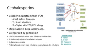 Cephalosporins
• Broader in spectrum than PCN
• Ancef, Keflex, Rocephin
• Tx: Staph infections
• Don’t give with PCN/PCN allergy
• Stable against beta-lactamases.
• Categorized by generation
• I. Surgical prophylaxis, upper resp. infections, ear infections
• II. Abdominal/ colorectal prophylaxis surgeries
• III. Bacteria meningitis
• IV. Complicated urinary tract infections, uncomplicated skin infections
Trade Names
I. Keflex
II. Ceftin
III. Rocephin
IV. Maxipime
 