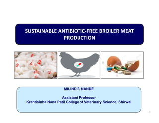SUSTAINABLE ANTIBIOTIC-FREE BROILER MEAT
PRODUCTION
MILIND P. NANDE
MILIND P. NANDE
Assistant Professor
Krantisinha Nana Patil College of Veterinary Science, Shirwal
1
 
