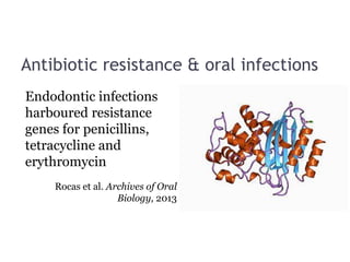 Antibiotic resistance & oral infections
Endodontic infections
harboured resistance
genes for penicillins,
tetracycline and
erythromycin
Rocas et al. Archives of Oral
Biology, 2013
 
