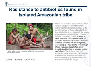 Hunter-gatherers host more diverse bacteria than humans in
industrialized nations.
When scientists first made contact with an
isolated village of Yanomami hunter-
gatherers in the remote mountains of the
Amazon jungle of Venezuela in 2009, they
marveled at the chance to study the health
of people who had never been exposed to
Western medicine or diets. But much to
their surprise, these Yanomami’s gut
bacteria have already evolved a diverse
array of antibiotic-resistance genes,
according to a new study, even though
these mountain people had never
ingested antibiotics or animals raised
with drugs. The find suggests that
microbes have long evolved the capability
to fight toxins, including antibiotics, and
that preventing drug resistance may be
harder than scientists thought.
Resistance to antibiotics found in
isolated Amazonian tribe
Article in Science 17th April 2015
 