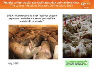 Italy, 2013
EFSA: “Overcrowding is a risk factor for disease
expression and other causes of poor welfare
and should be avoided”
Regular antimicrobial use facilitates high animal densities:
The Lancet Infectious Diseases Commission, 2013
 