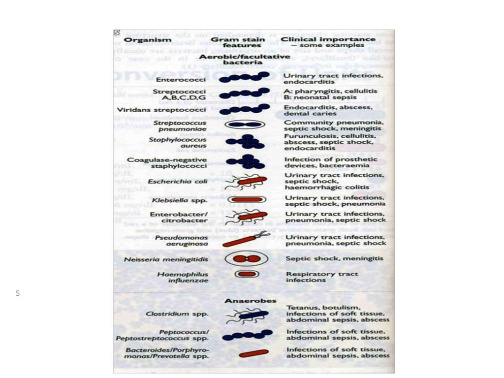 Antibiotic; introduction & stewardship program in children