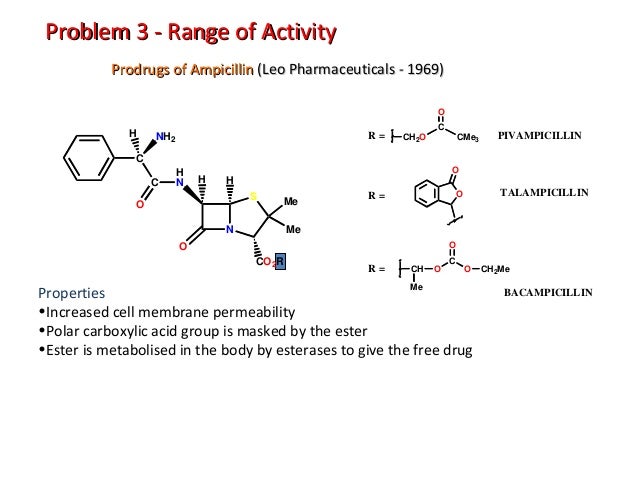 Ampicillin And Amoxicillin Metabolism