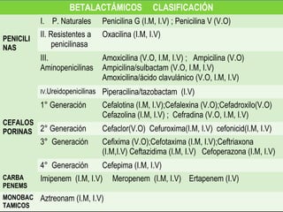 BETALACTÁMICOS CLASIFICACIÓN
PENICILI
NAS
I. P. Naturales Penicilina G (I.M, I.V) ; Penicilina V (V.O)
II. Resistentes a
penicilinasa
Oxacilina (I.M, I.V)
III.
Aminopenicilinas
Amoxicilina (V.O, I.M, I.V) ; Ampicilina (V.O)
Ampicilina/sulbactam (V.O, I.M, I.V)
Amoxicilina/ácido clavulánico (V.O, I.M, I.V)
IV.Ureidopenicilinas Piperacilina/tazobactam (I.V)
CEFALOS
PORINAS
1° Generación Cefalotina (I.M, I.V);Cefalexina (V.O);Cefadroxilo(V.O)
Cefazolina (I.M, I.V) ; Cefradina (V.O, I.M, I.V)
2° Generación Cefaclor(V.O) Cefuroxima(I.M, I.V) cefonicid(I.M, I.V)
3° Generación Cefixima (V.O);Cefotaxima (I.M, I.V);Ceftriaxona
(I.M,I.V) Ceftazidima (I.M, I.V) Cefoperazona (I.M, I.V)
4° Generación Cefepima (I.M, I.V)
CARBA
PENEMS
Imipenem (I.M, I.V) Meropenem (I.M, I.V) Ertapenem (I.V)
MONOBAC
TAMICOS
Aztreonam (I.M, I.V)
 