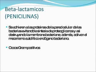 Beta-lactamicos (PENICILINAS) Se adhieren a las proteinas de la  pared  celular de l a s bacterias evitandol e  sintesis de proteoglicanos y asi destruyendo la membrana bacteriana; adem á s, activan el mecanismo autol í tico end ó geno bacteriano. Cocos Gram positivos 