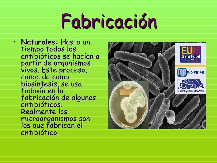 Resultado de imagen de comos se producen los antibioticos"