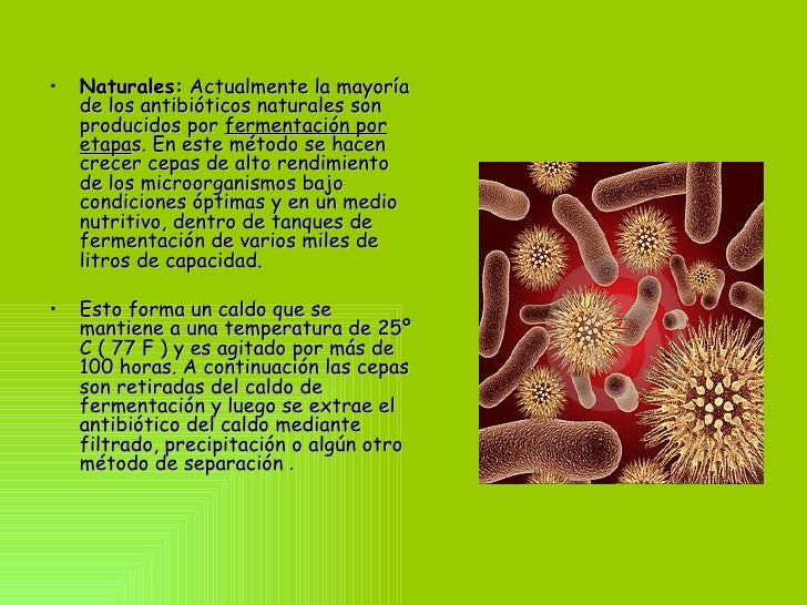 Resultado de imagen de como se producen los antibióticos