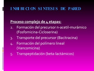 INHIBICION SINTESIS DE PARED Proceso complejo de 4 etapas: Formación del precursor n-acetil-murámico (Fosfomicina-Cicloserina) Transporte del precursor (Bacitracina) Formación del polímero lineal (Vancomicina) Transpeptidación (beta-lactámicos) 