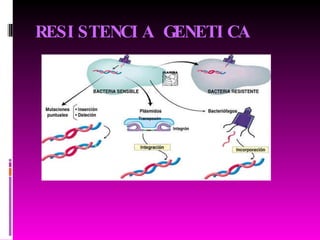 RESISTENCIA GENETICA 