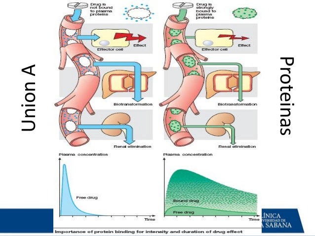 Resultado de imagen para distribucion farmacologia