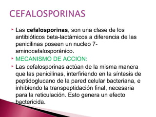  Las cefalosporinas, son una clase de los
antibióticos beta-lactámicos a diferencia de las
penicilinas poseen un nucleo 7-
aminocefalosporánico.
 MECANISMO DE ACCION:
 Las cefalosporinas actúan de la misma manera
que las penicilinas, interfiriendo en la síntesis de
peptidoglucano de la pared celular bacteriana, e
inhibiendo la transpeptidación final, necesaria
para la reticulación. Esto genera un efecto
bactericida.
 