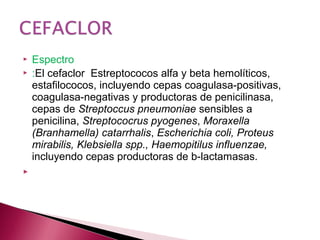  Espectro
 :El cefaclor Estreptococos alfa y beta hemolíticos,
estafilococos, incluyendo cepas coagulasa­positivas,
coagulasa­negativas y productoras de penicilinasa,
cepas de Streptoccus pneumoniae sensibles a
penicilina, Streptococrus pyogenes, Moraxella
(Branhamella) catarrhalis, Escherichia coli, Proteus
mirabilis, Klebsiella spp., Haemopitilus influenzae,
incluyendo cepas productoras de b­lactamasas.
  
 