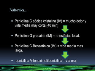 Naturales… 
 Penicilina G sódica cristalina (IV) = mucho dolor y 
vida media muy corta.(40 min) 
 Penicilina G procaina (IM) = anestésico local. 
 Penicilina G Benzatínica (IM) = vida media mas 
larga. 
 penicilina V fenoximetilpenicilina = vía oral. 
 