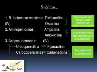 Sintéticas… 
1. B. lactamasa resistente: Dicloxacilina 
(IV) Oxacilina 
2. Aminopenicilinas: Ampicilina 
Amoxicilina 
3. Antipseudomonas: (IV) 
Uredopenicilina Piperacilina 
Carboxipenicilinas Carbenecilina 
Buen espectro para 
combatir la beta 
lactamasa que 
producían las bacterias 
Mayor espectro pero 
poca resistencia a la 
beta lactamasa 
Para acabar con 
las seudomonas 
 
