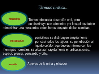 Fármaco cinética… 
Tienen adecuada absorción oral, pero 
se disminuye con alimentos por lo cual los deben 
administrar una hora antes o dos horas después de las comidas, 
penicilinas se distribuyen ampliamente 
por casi todos los tejidos, su penetración al 
líquido cefalorraquídeo es mínima con las 
meninges normales, se alcanzan rápidamente en articulaciones, 
espacio pleural, pericardio y bilis. 
Atreves de la orina y el sudor 
ABSORCIÓN 
DISTRIBUCIÓN 
excreción 
 