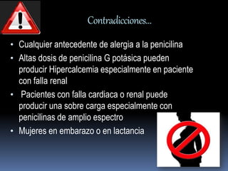 Contradicciones… 
• Cualquier antecedente de alergia a la penicilina 
• Altas dosis de penicilina G potásica pueden 
producir Hipercalcemia especialmente en paciente 
con falla renal 
• Pacientes con falla cardiaca o renal puede 
producir una sobre carga especialmente con 
penicilinas de amplio espectro 
• Mujeres en embarazo o en lactancia 
 