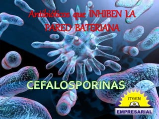 Antibióticos que INHIBEN LA 
PARED BATERIANA 
 