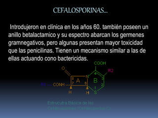 CEFALOSPORINAS… 
Introdujeron en clínica en los años 60. también poseen un 
anillo betalactamico y su espectro abarcan los germenes 
gramnegativos, pero algunas presentan mayor toxicidad 
que las penicilinas. Tienen un mecanismo similar a las de 
ellas actuando cono bactericidas. 
 