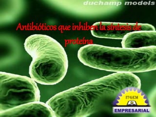 Antibióticos que inhiben la síntesis de 
proteína 
 