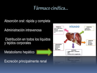 Fármaco cinética… 
Absorción oral: rápida y completa 
Administración intravenosa 
Distribución en todos los líquidos 
y tejidos corporales 
Metabolismo hepático 
Excreción principalmente renal 
 