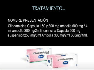 TRATAMIENTO… 
NOMBRE PRESENTACIÓN 
Clindamicina Capsula 150 y 300 mg ampolla 600 mg / 4 
ml ampolla 300mg/2mllincomicina Capsula 500 mg 
suspension250 mg/5ml Ampolla 300mg/2ml 600mg/4ml. 
 
