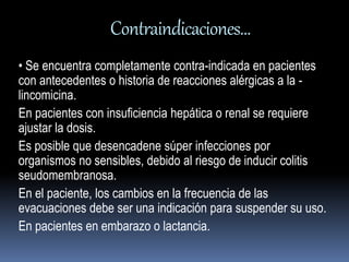 Contraindicaciones… 
• Se encuentra completamente contra-indicada en pacientes 
con antecedentes o historia de reacciones alérgicas a la - 
lincomicina. 
En pacientes con insuficiencia hepática o renal se requiere 
ajustar la dosis. 
Es posible que desencadene súper infecciones por 
organismos no sensibles, debido al riesgo de inducir colitis 
seudomembranosa. 
En el paciente, los cambios en la frecuencia de las 
evacuaciones debe ser una indicación para suspender su uso. 
En pacientes en embarazo o lactancia. 
 