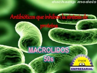 Antibióticos que inhiben la síntesis de 
proteína 
 