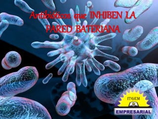 Antibióticos que INHIBEN LA 
PARED BATERIANA 
 