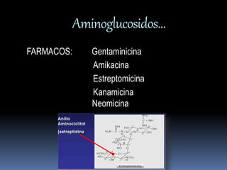 Aminoglucosidos… 
FARMACOS: Gentaminicina 
Amikacina 
Estreptomicina 
Kanamicina 
Neomicina 
 