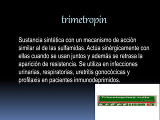 trimetropin 
Sustancia sintética con un mecanismo de acción 
similar al de las sulfamidas. Actúa sinérgicamente con 
ellas cuando se usan juntos y además se retrasa la 
aparición de resistencia. Se utiliza en infecciones 
urinarias, respiratorias, uretritis gonocócicas y 
profilaxis en pacientes inmunodeprimidos. 
 