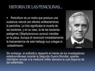 HISTORIA DE LAS PENICILINAS… 
 Penicillium es un moho que produce una 
sustancia natural con efectos antibacterianos 
la penicilina. La lisis significaba la muerte de 
las bacterias, y en su caso, la de las bacterias 
patógenas (Staphylococcus aureus) crecidas 
en la placa. Aunque él reconoció inmediatamente 
la trascendencia de este hallazgo sus colegas lo 
subestimaron. 
Sin embargo, el antibiótico despertó el interés de los investigadores 
estadounidenses durante la Segunda Guerra Mundial, quienes 
intentaban emular a la medicina militar alemana la cual disponía de 
las sulfamidas. 
 