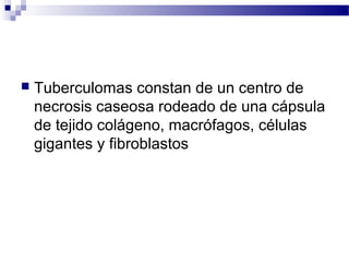  Tuberculomas constan de un centro de
necrosis caseosa rodeado de una cápsula
de tejido colágeno, macrófagos, células
gigantes y fibroblastos
 