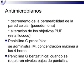 Antimicrobianos
* decremento de la permeabilidad de la
pared celular (pseudomona)
* alteración de los objetivos PUP
(estafilococo)
 Penicilina G procaínica:
se administra IM, concentración máxima a
las 4 horas
 Penicilina G benzatínica: cuando se
requieren niveles bajos de penicilina
 