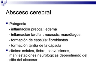 Absceso cerebral
 Patogenia
- inflamación precoz : edema
- inflamación tardía : necrosis, macrófagos
- formación de cápsula: fibroblastos
- formación tardía de la cápsula
 clínica: cefalea, fiebre, convulsiones,
manifestaciones neurológicas dependiendo del
sitio del absceso
 