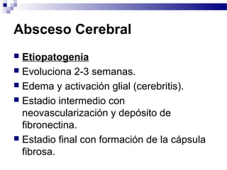 Absceso Cerebral
 Etiopatogenia
 Evoluciona 2-3 semanas.
 Edema y activación glial (cerebritis).
 Estadio intermedio con
neovascularización y depósito de
fibronectina.
 Estadio final con formación de la cápsula
fibrosa.
 