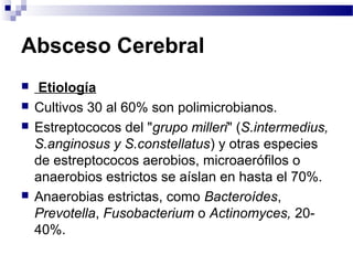 Absceso Cerebral
 Etiología
 Cultivos 30 al 60% son polimicrobianos.
 Estreptococos del "grupo milleri" (S.intermedius,
S.anginosus y S.constellatus) y otras especies
de estreptococos aerobios, microaerófilos o
anaerobios estrictos se aíslan en hasta el 70%.
 Anaerobias estrictas, como Bacteroídes,
Prevotella, Fusobacterium o Actinomyces, 20-
40%.
 