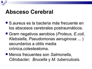 Absceso Cerebral
 S.aureus es la bacteria más frecuente en
los abscesos cerebrales postraumáticos.
 Gram negativos aerobios (Proteus, E.coli,
Klebsiella, Pseudomonas aeruginosa ... )
secundarios a otitis media
crónica,colesteatoma.
 Menos frecuentes son Salmonella,
Citrobacter, Brucella y M. tuberculosis.
 