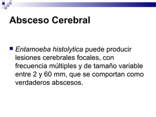 Absceso Cerebral
 Entamoeba histolytica puede producir
lesiones cerebrales focales, con
frecuencia múltiples y de tamaño variable
entre 2 y 60 mm, que se comportan como
verdaderos abscesos.
 