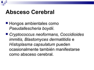 Absceso Cerebral
 Hongos ambientales como
Pseudallescheria boydii.
 Cryptococcus neoformans, Coccidioides
immitis, Blastomyces dermatitidis e
Hístoplasma capsulatum pueden
ocasionalmente también manifestarse
como absceso cerebral.
 