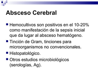 Absceso Cerebral
 Hemocultivos son positivos en el 10-20%
como manifestación de la sepsis inicial
que da lugar al absceso hematógeno.
 Tinción de Gram, tinciones para
microorganismos no convencionales.
 Histopatológico.
 Otros estudios microbiológicos
(serologías, Ag).
 