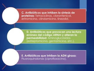 C. Antibióticos que inhiben la síntesis de
proteínas: Tetraciclinas, cloranfenicol,
eritromicina, clindamicina, linezolid.
D. Antibióticos que provocan una lectura
errónea del código ARNm y alteran la
permeabilidad: Aminoglucósidos
(estreptomicina, gentamicina, etc.).
E. Antibióticos que inhiben la ADN girasa:
Fluoroquinolonas (ciprofloxacino).
 