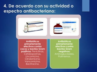 4. De acuerdo con su actividad o
espectro antibacteriano:
Antibióticos
primariamente
efectivos contra
cocos y bacilos Gram
positivos: Penicilinas,
Cefalosporinas,
Lincomicina,
Clindamicina,
Vancomicina,
Bacitracina.
Antibióticos
primariamente
efectivos contra
bacilos Gram
negativos:
Aminoglucósidos,
Polimixinas.
 