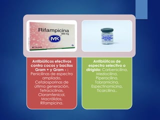 Antibióticos efectivos
contra cocos y bacilos
Gram + y Gram - :
Penicilinas de espectro
ampliado,
Cefalosporinas de
última generación,
Tetraciclinas,
Cloramfenicol,
Macrólidos,
Rifampicina.
Antibióticos de
espectro selectivo o
dirigido: Carbenicilina,
Mezlocilina,
Piperacilina,
Tobramicina,
Espectinomicina,
Ticarcilina..
 