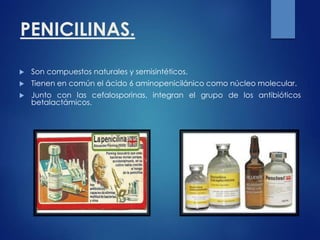 PENICILINAS.
 Son compuestos naturales y semisintéticos.
 Tienen en común el ácido 6 aminopenicilánico como núcleo molecular.
 Junto con las cefalosporinas, integran el grupo de los antibióticos
betalactámicos.
 