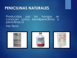 Producidas por los hongos se
conocen como benzilpenicilinas o
penicilinas G
tres tipos:
PENICILINAS NATURALES.
 