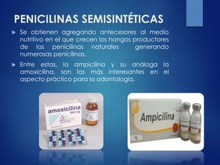 PENICILINAS SEMISINTÉTICAS
 Se obtienen agregando antecesores al medio
nutritivo en el que crecen los hongos productores
de las penicilinas naturales generando
numerosas penicilinas.
 Entre estas, la ampicilina y su análoga la
amoxicilina, son las más interesantes en el
aspecto práctico para la odontología.
 