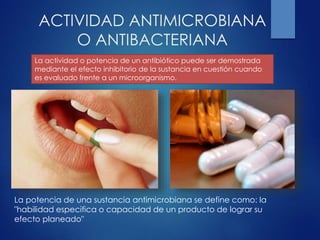 ACTIVIDAD ANTIMICROBIANA
O ANTIBACTERIANA
La actividad o potencia de un antibiótico puede ser demostrada
mediante el efecto inhibitorio de la sustancia en cuestión cuando
es evaluado frente a un microorganismo.
La potencia de una sustancia antimicrobiana se define como: la
"habilidad especifica o capacidad de un producto de lograr su
efecto planeado"
 