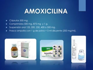 AMOXICILINA
 Cápsulas 500 mg.
 Comprimidos 500 mg, 875 mg y 1 g.
 Suspensión oral 125, 200, 250, 400 o 500 mg.
 Frasco ampolla con 1 g de polvo + 5 ml diluyente (200 mg/ml).
 